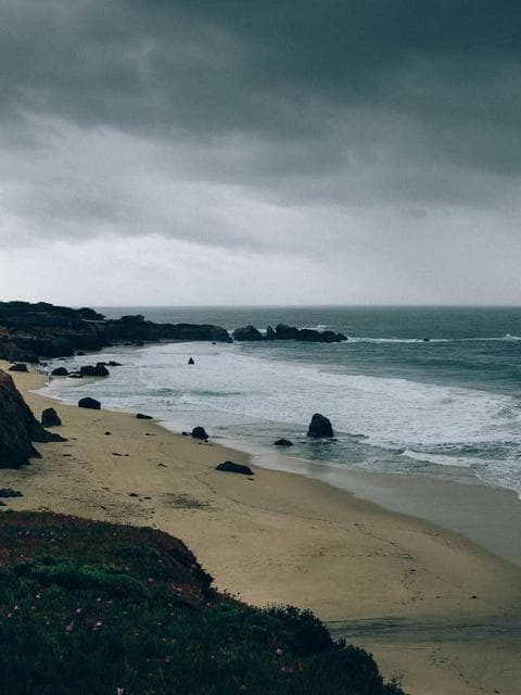 Bea photo 1