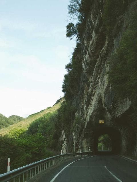 Paulo photo 1